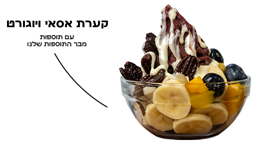 אסאי ויוגורט אתר