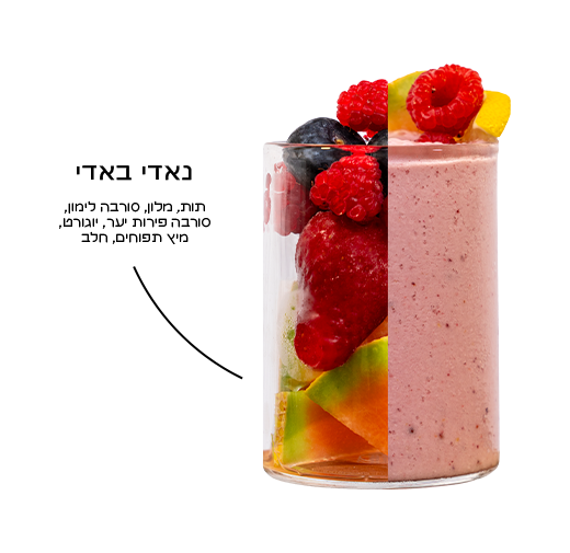 נאדי באדי פירוט