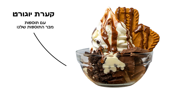 קערת יוגורט